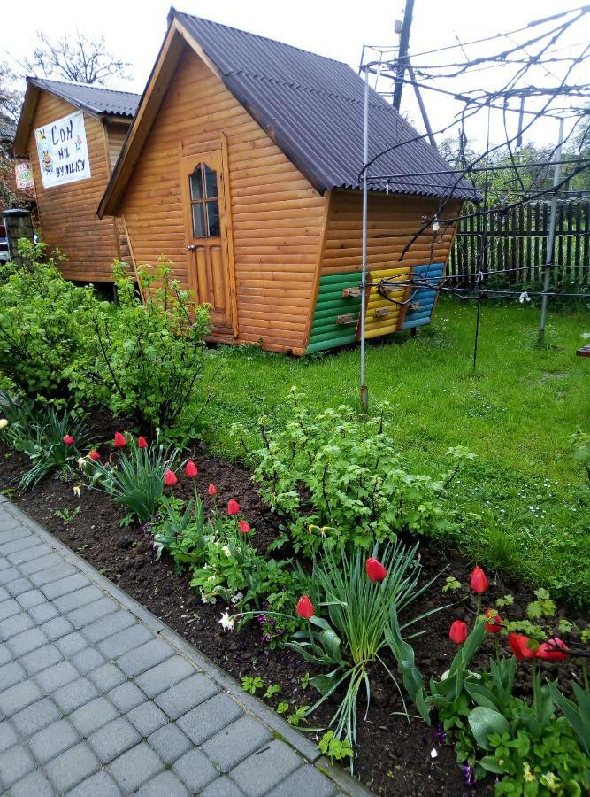 "У Пасічника" Котедж Для Сім'Ї 야렘체 외부 사진